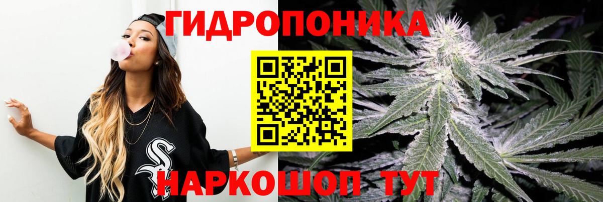 Ульяновск  Каннабис семена  Вход с VPN  Марихуана Ganja 